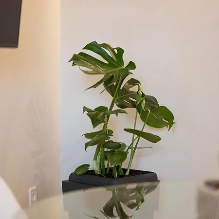 Niman Beachside * Ханья